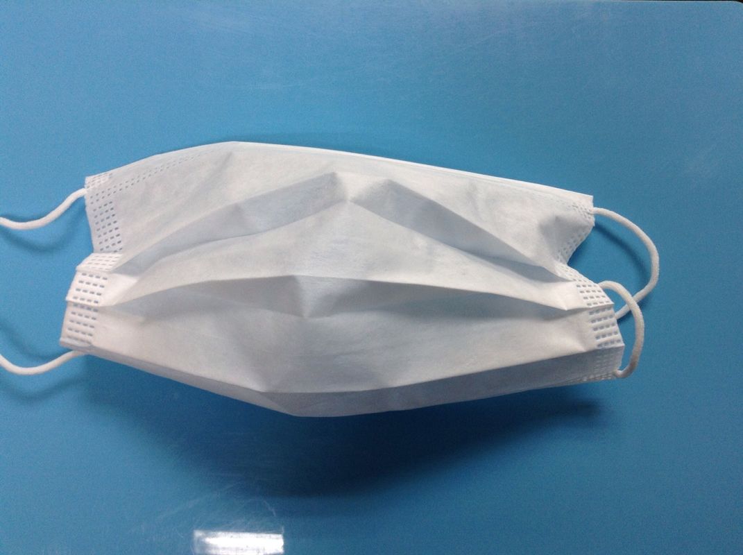 Dust Free Cleanroom Consumables Disposable Face Mask 2 PLY 3 PLY Earloop