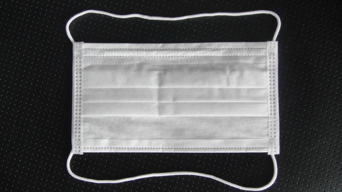 Medical Cleanroom Consumables Disposable Non Woven Face Mask Earloop 17.5x9.5 cm 1