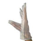 M / L Non Slip Palm Anti Static Gloves With 10mm Polyester Striped Hand Back