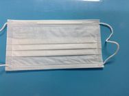 Dust Free Cleanroom Consumables Disposable Face Mask 2 PLY 3 PLY Earloop